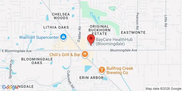 Map of 2470 Bloomingdale Ave Valrico, FL 33596