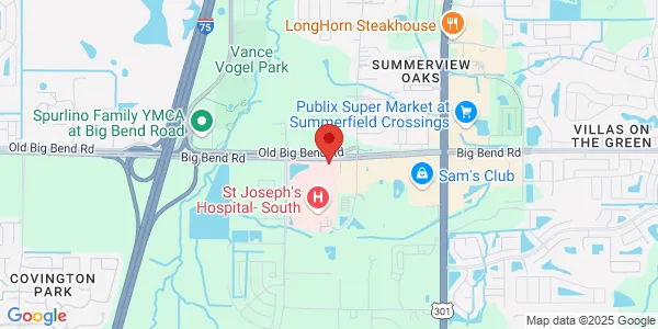 Map of 10141 Big Bend Rd Riverview, FL 33578