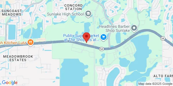 Map of 18610 Fernview St Land O' Lakes, FL 34638