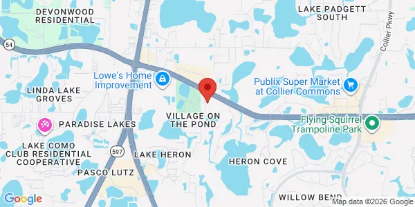 Map of 21750 SR 54 Lutz, FL 33549