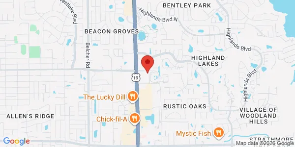 Map of 33667 US Hwy 19 N Palm Harbor, FL 34684