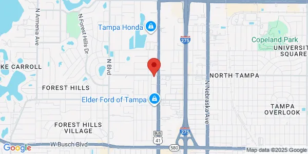Map of 116 W Bougainvillea Ave Tampa, FL 33612