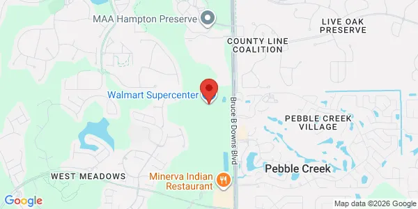 Map of 19910 Bruce B Downs Blvd Store #3877 Tampa, FL 33647