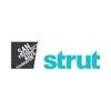 Strut