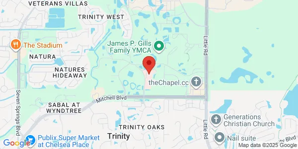 Map of 2102 Trinity Oaks Blvd New Port Richey, FL 34655