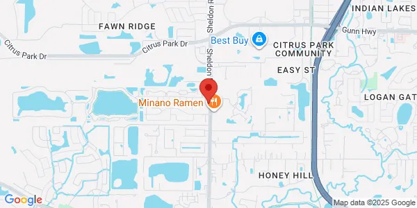 Map of 11928 Sheldon Rd Tampa, FL 33636
